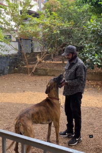 Screenshot 2025-02-14 142627