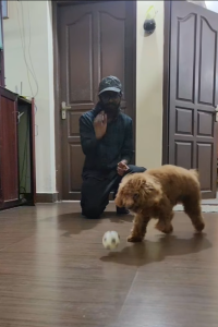 Screenshot 2025-02-14 150931