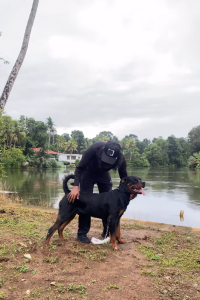 Screenshot 2025-02-14 150939