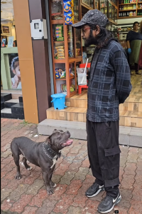 Screenshot 2025-02-14 150953