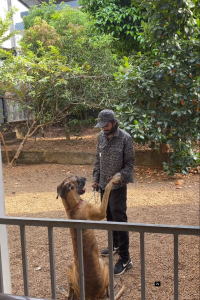 Screenshot 2025-02-14 151012