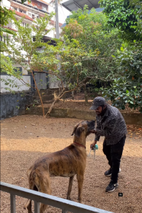 Screenshot 2025-02-14 151028