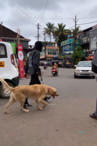 Screenshot 2025-02-14 151058